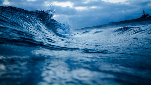Surf y Paddle Surf